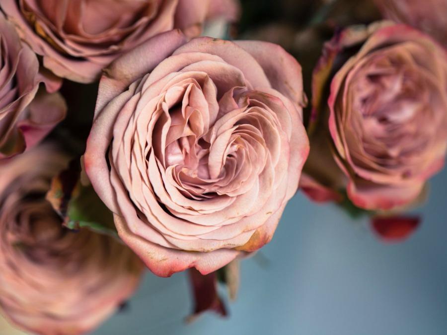 This is not scary, it’s a leap to action.