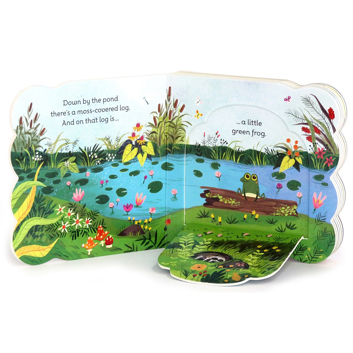 Little Green Frog Lift-a-Flap Board Book Cottage Door Press 
