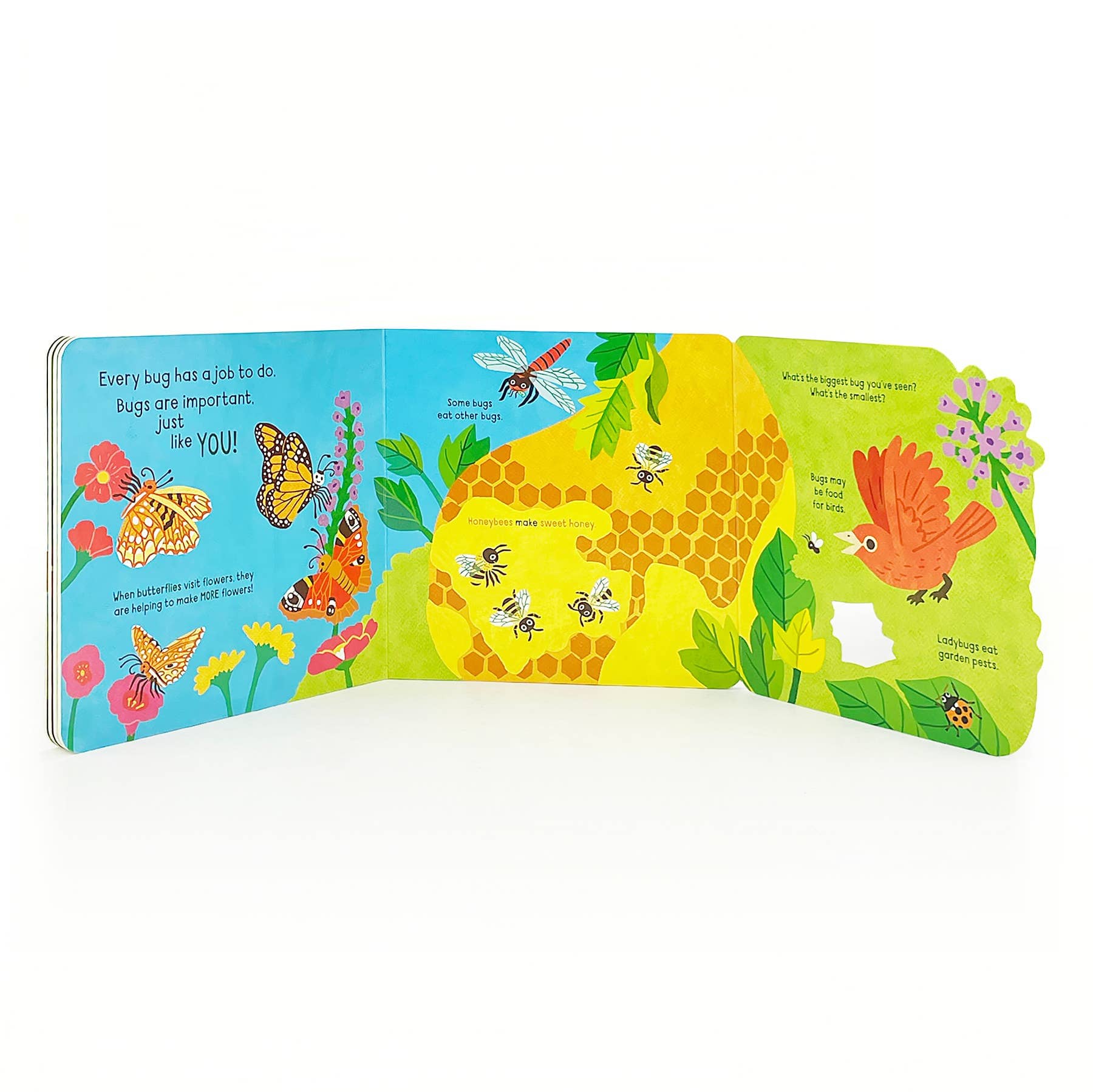 Little Wonders: Bugs Interactive Board Book Cottage Door Press 