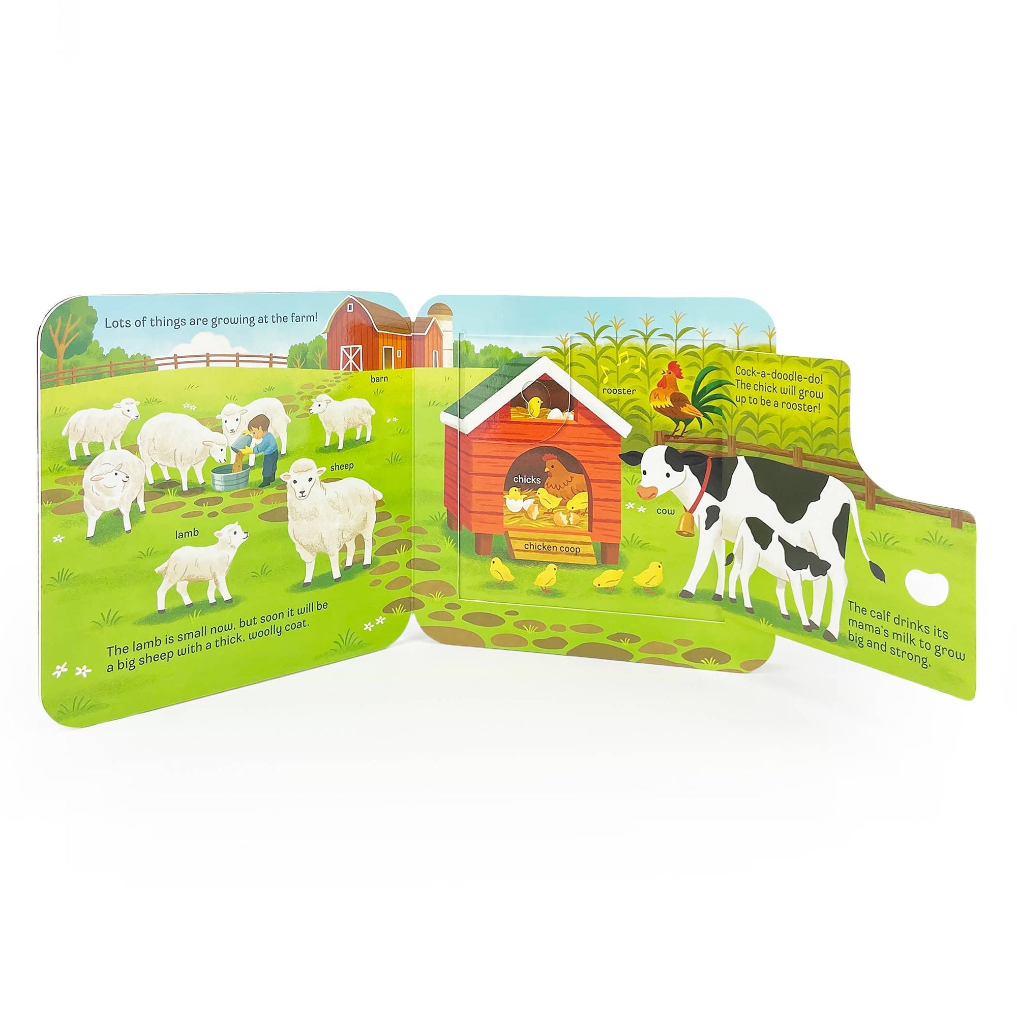 GROW Lift-a-Flap Board Book Cottage Door Press 