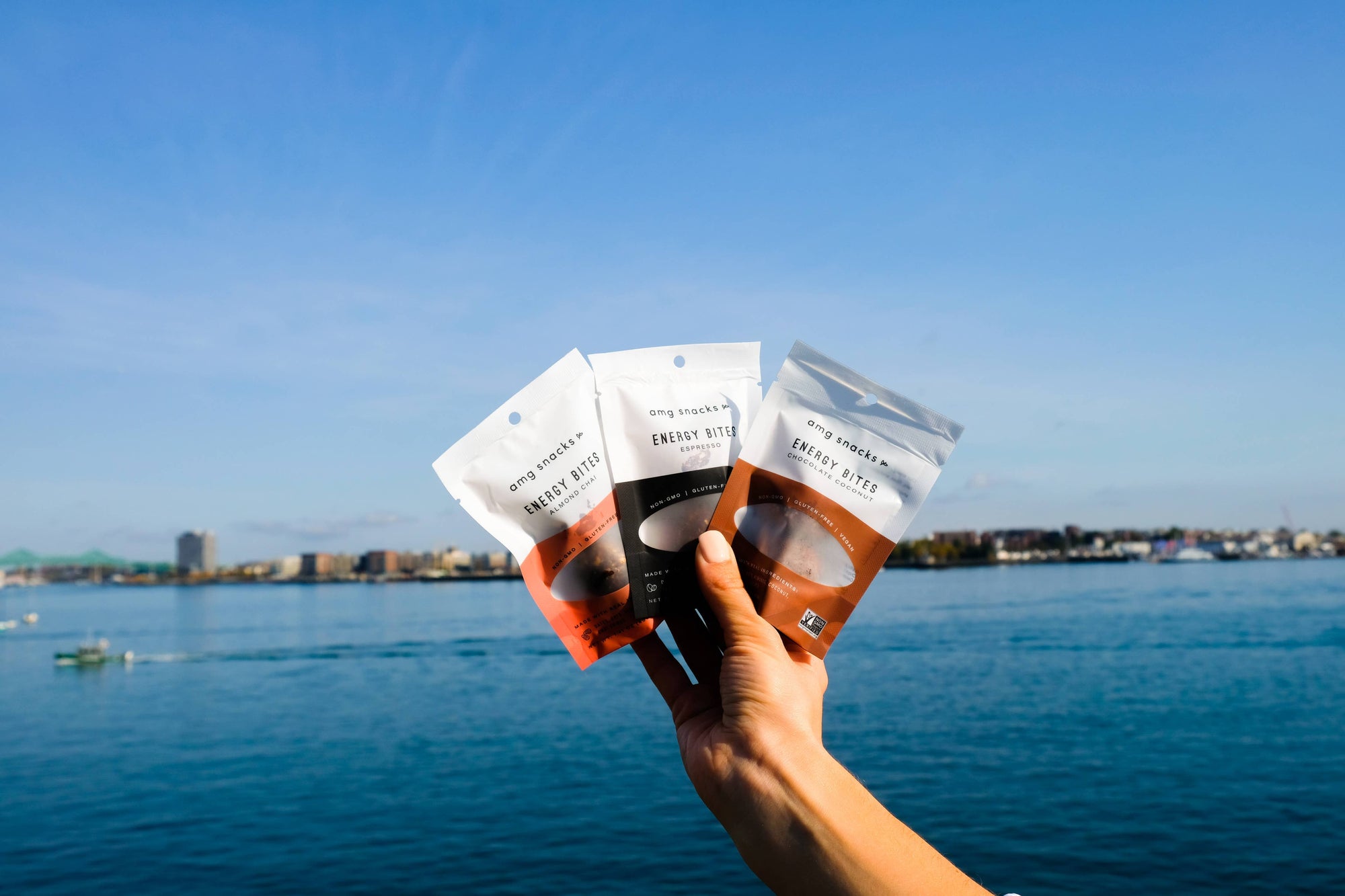 Energy Bites: On-the-go packs: Cinnamon Roll AMG Snacks 