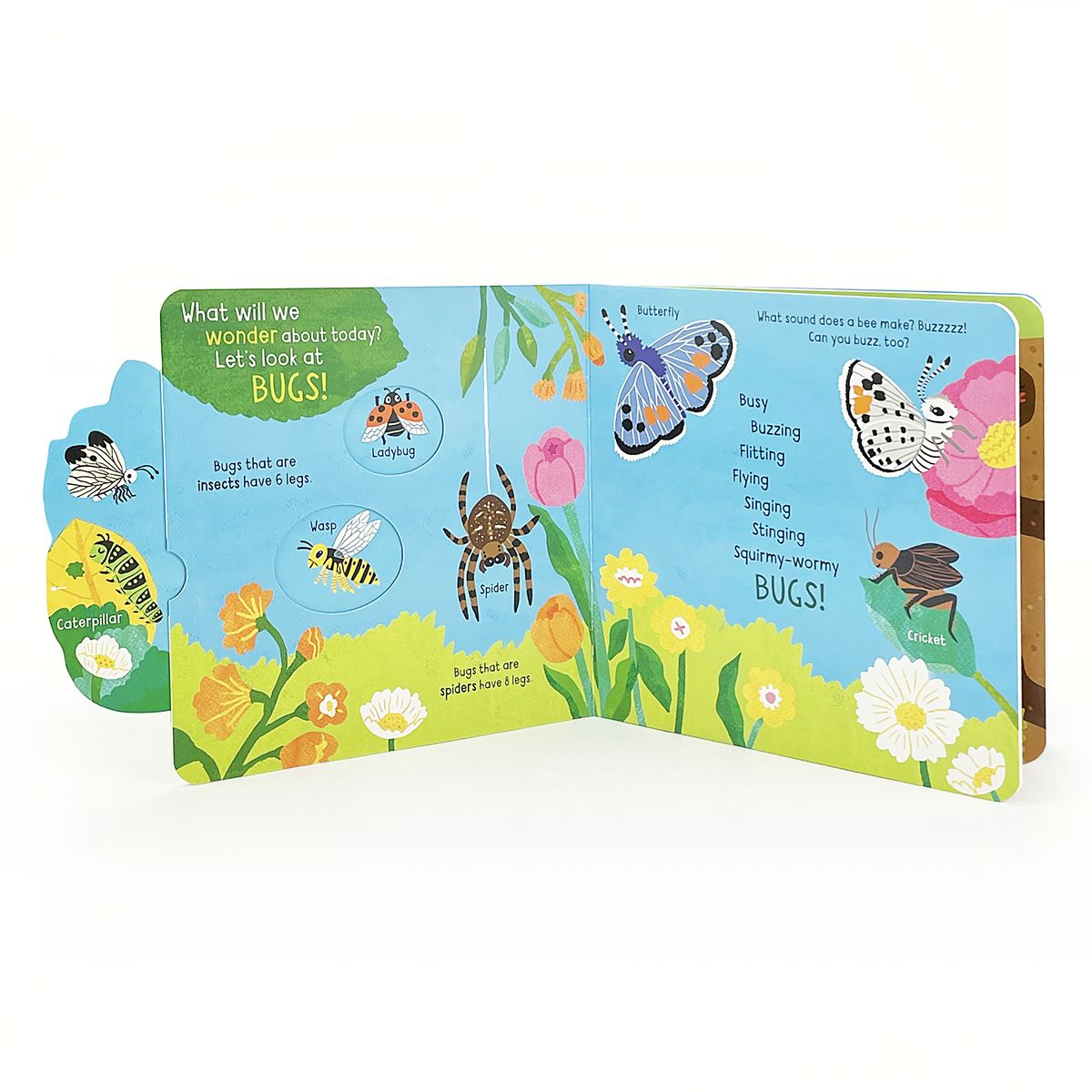 Little Wonders: Bugs Interactive Board Book Cottage Door Press 